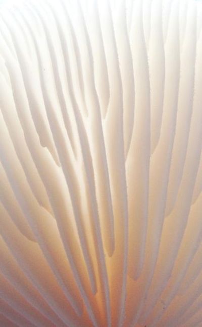  DESIGN INSPIRATION_ PATTERN_TEXTURE
