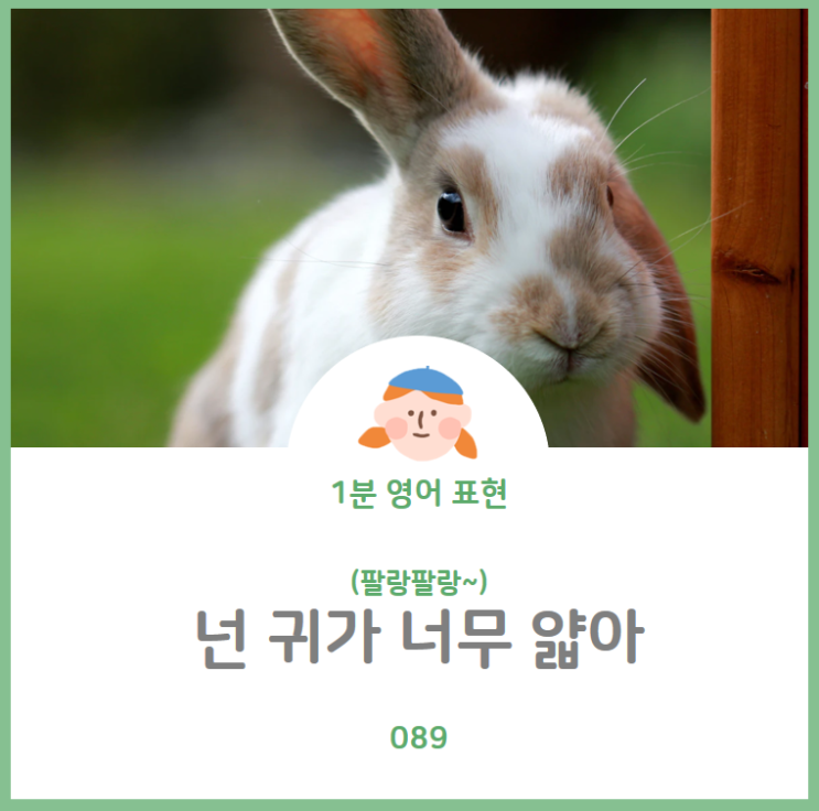  '넌 너무 귀가 얇아'를 영어로? '호구'를 영어로? You're so gullible