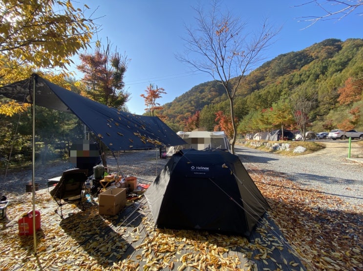  해피할로윈&가을단풍캠핑 덕동산마루캠핑장 2박3일