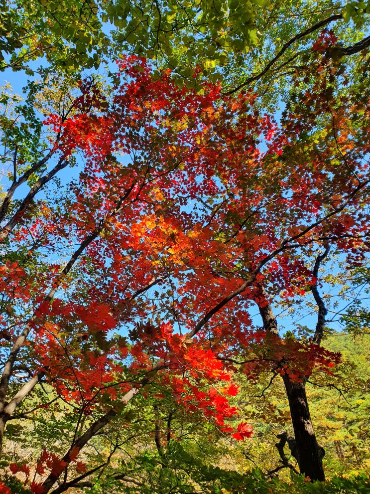  설악산흔들바위