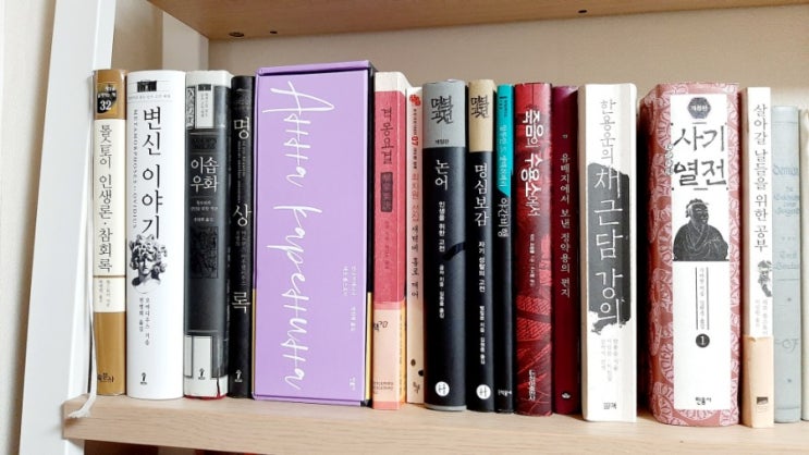  우리 집 고전 책장과 채근담 필사 시작