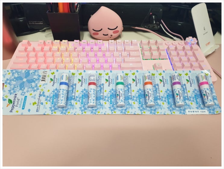  코막힘뚫는법 태국야돔 페퍼민트필드 인헤일러