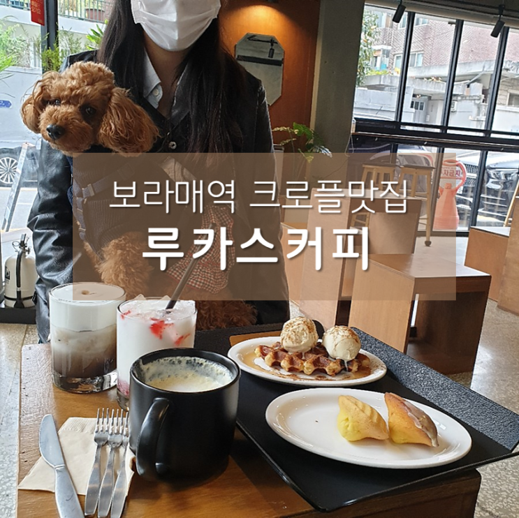  보라매역카페 루카스커피 / 애견동반 가능 크로플맛집