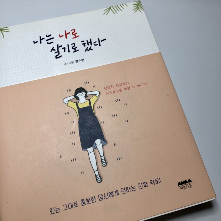  나는 나로 살기로 했다 - 김수현