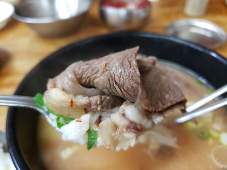 [영천맛집]  포항할매집 소머리곰탕, 영천공설시장 곰탕 골목