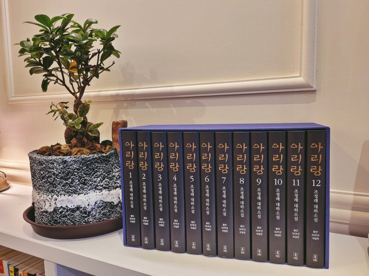  독자와의 문답 조정래 작가의 홀로 쓰고, 함께 살다 에세이 산문집