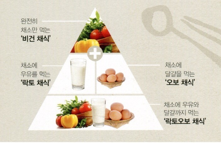  채식 주의 종류에대해 알아 보세요 :)