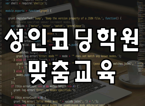  성인코딩학원 코딩교육 개인맞춤과정!