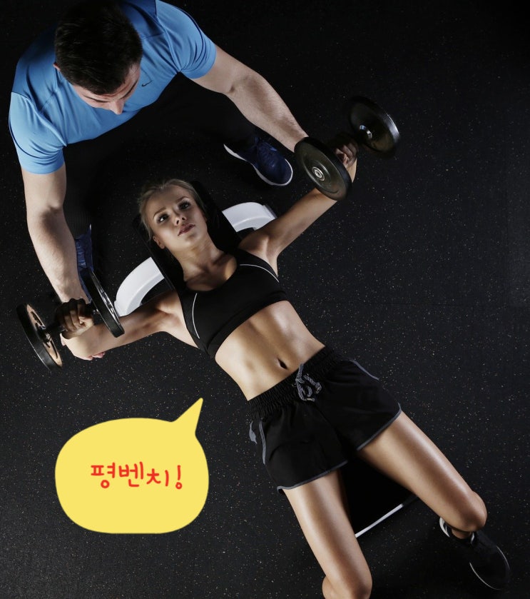  가성비 좋은 평벤치 이고진 평벤치 강추!
