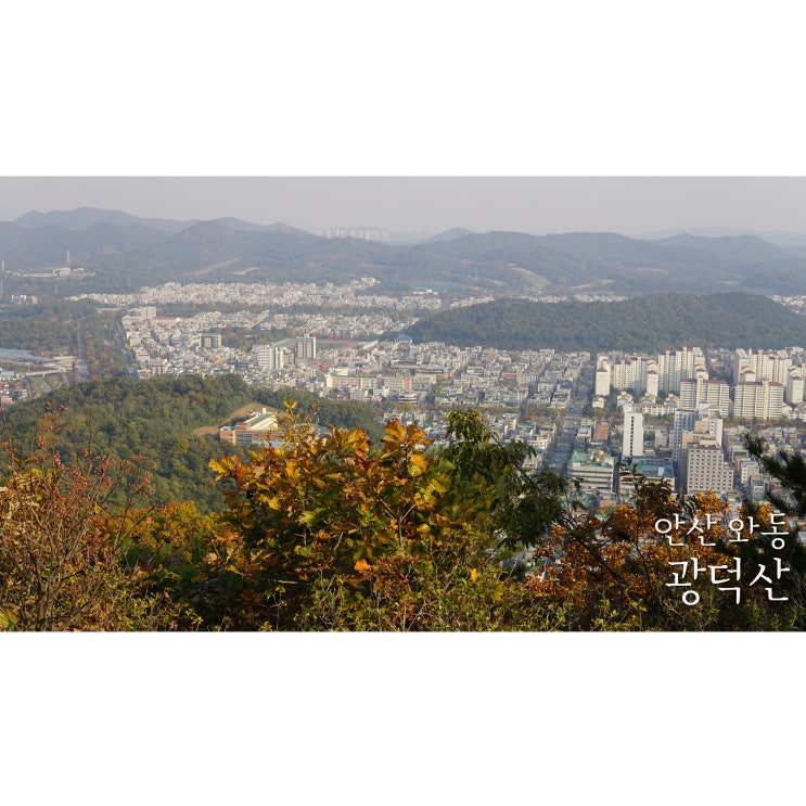 안산 광덕산 꽃빛공원 출발 1시간 코스 초보자 등산
