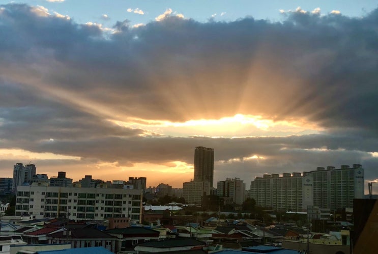  언제 어디서나 할 수 있는 5분 보이차 명상