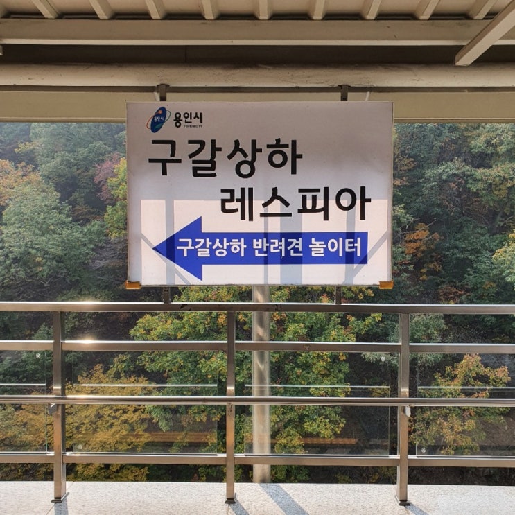  무료로 즐기는 반려견들의 놀이터 구갈레스피아
