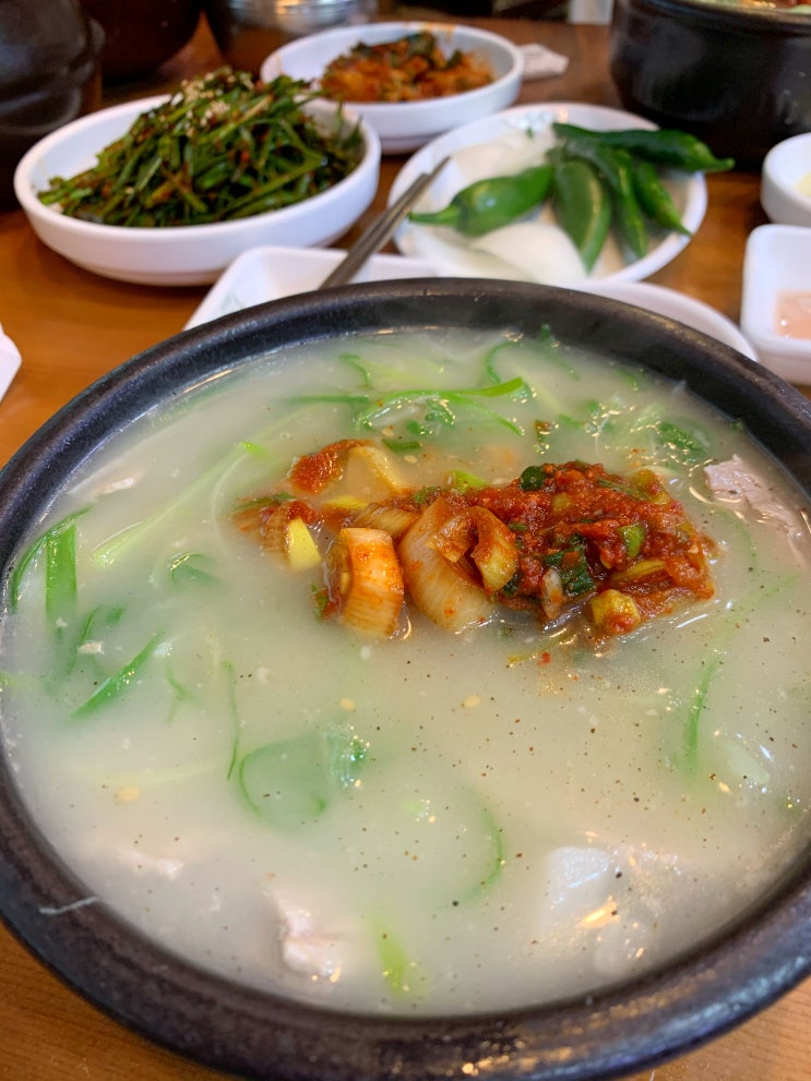 김해 돼지국밥 맛집 '밀양돼지국밥'(젤 맛있어요 )