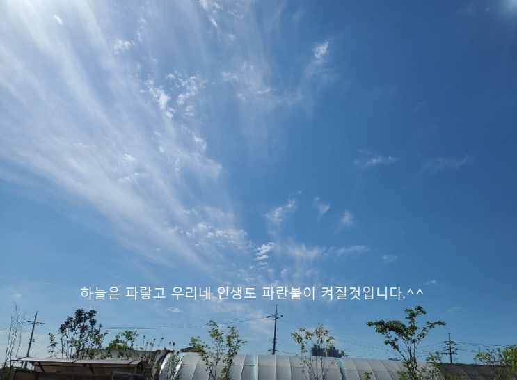 용인시, 만19~61세 시민 대상 독감 무료접종 중단