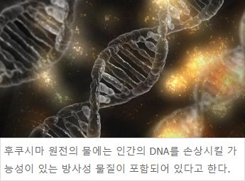 후쿠시마 오염수는 인간의 DNA를 손상시킬 수 있다.
