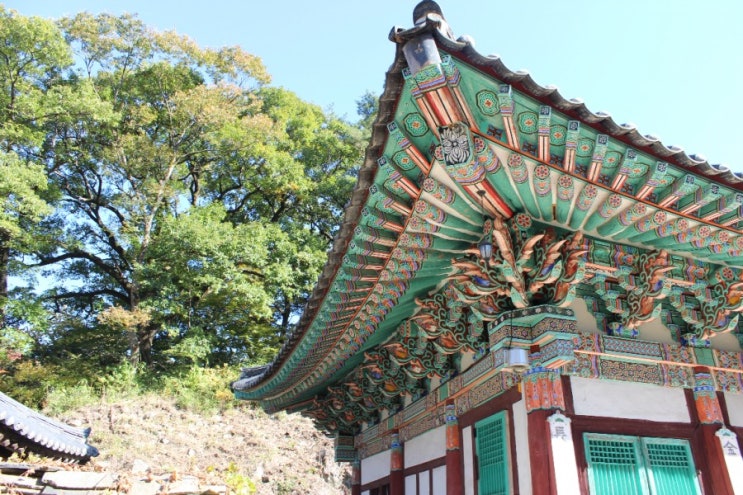 [국내여행사진/공주] 계룡산 갑사 여행사진 아직 푸릇푸릇 여름 같았던