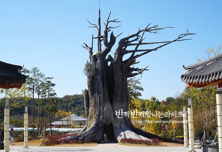  군위 여행 삼국유사테마파크 볼거리 가득해요