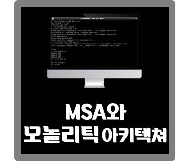 [IT용어] MSA와 모놀리틱