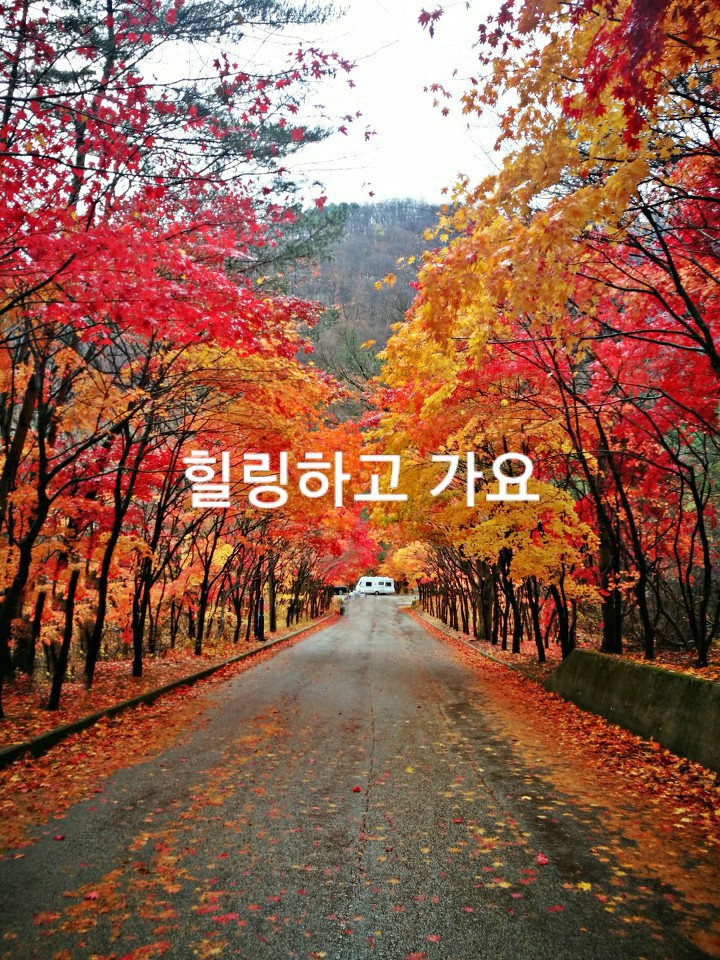  잠깐 힐링하고 가요!