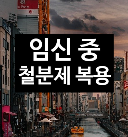  임신 중에 철분제는 꼭 먹어야 되나요?