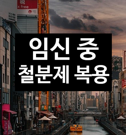 임신 중에 철분제는 꼭 먹어야 되나요?