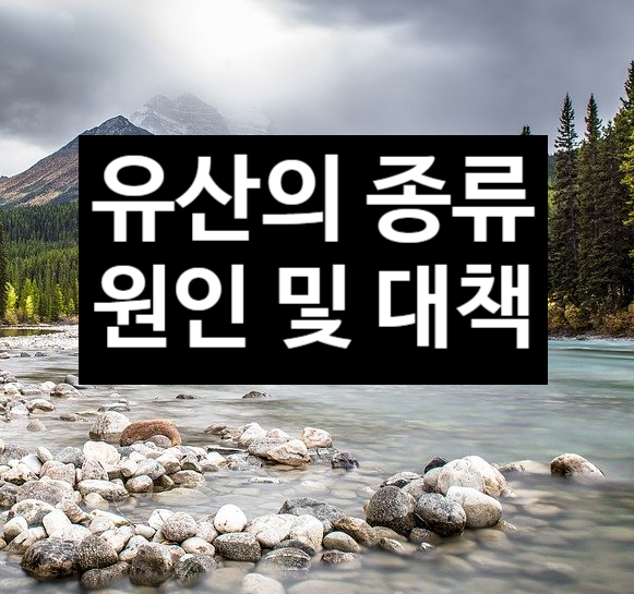  유산의 종류와 원인 및 대책