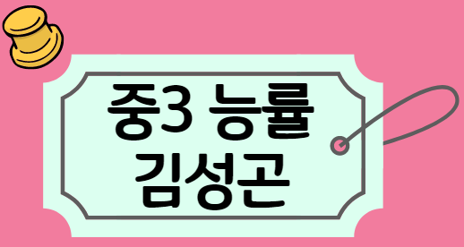  배방영어수학전문학원 중3 능률 김성곤8과