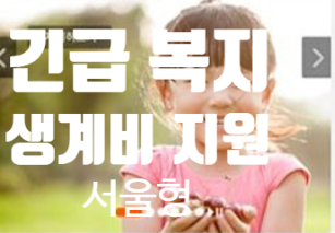 생계유지가 곤란한 저소득 위기가구 생계비 지원 [서울형 긴급 복지지원 제도]