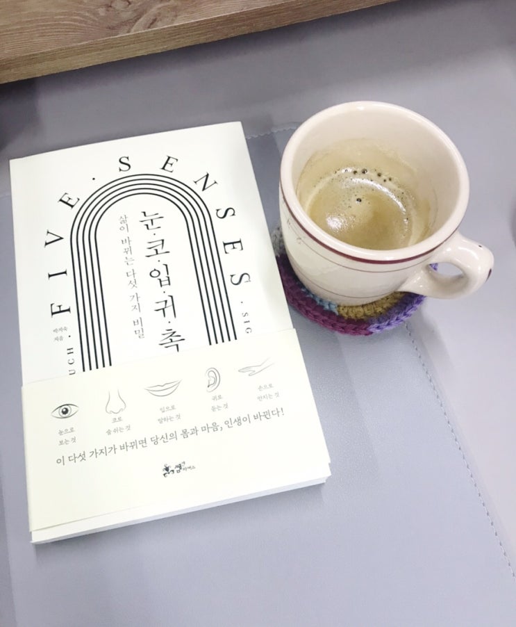 모닝독서_눈 코 입 귀 촉