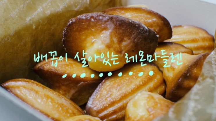  배꼽 살아있는 마들렌 파티 - 곧 재오픈 준비 중인 자매님 선물