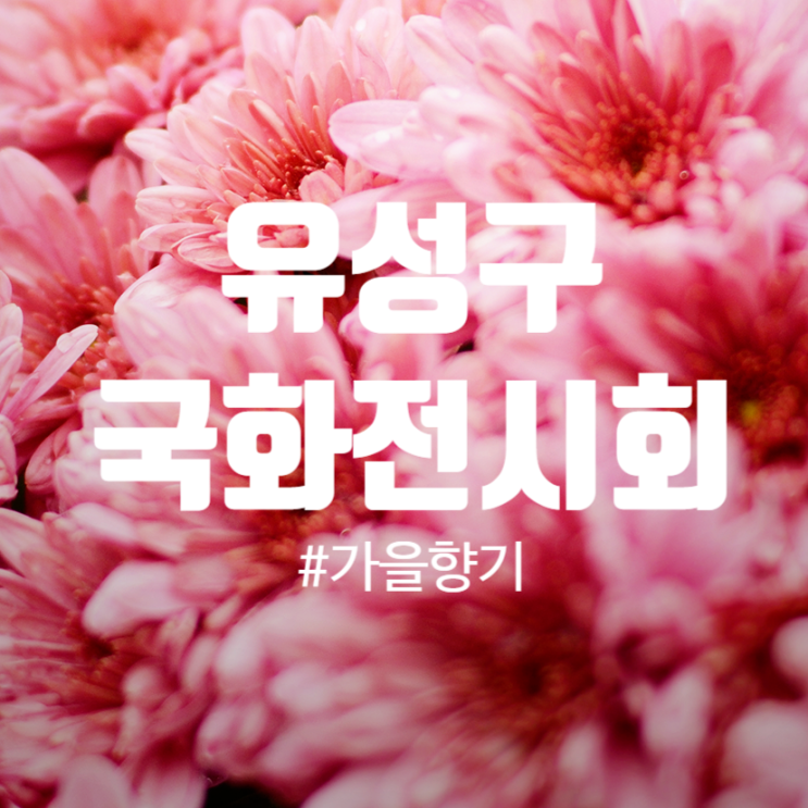 대전 유림공원 국화축제, 유성 국화전시회 같이 보러 가요