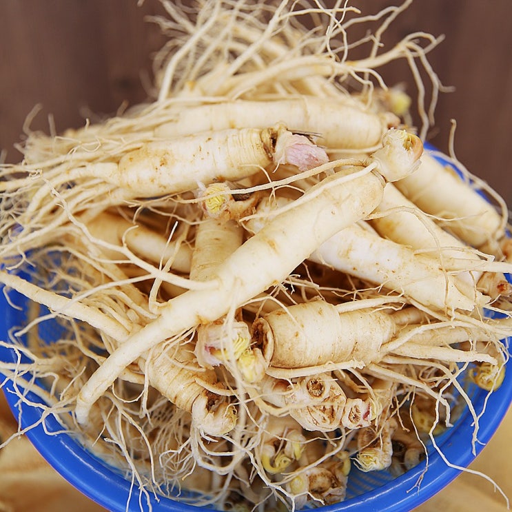  우리네농산물 금산부자인삼 세척삼 수삼 인삼, 1개, 600g(12-16편)
