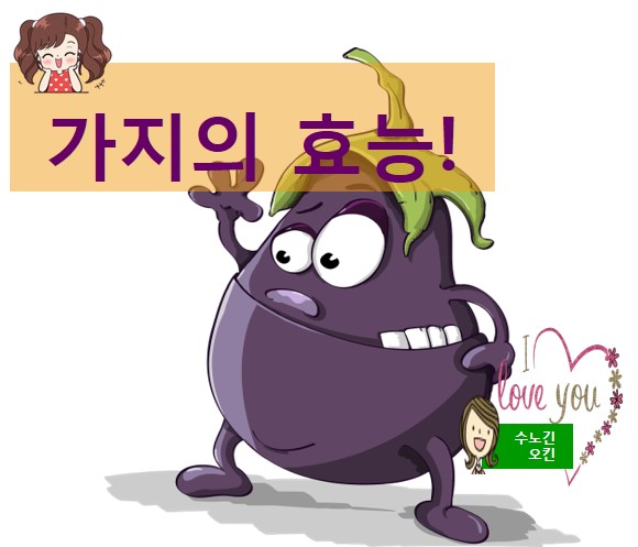  가지의 효능과 가지물 만드는 방법을 소개합니다