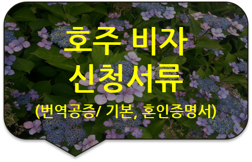 호주 비자 신청서류 번역공증 [기본증명서 / 혼인관계증명서 번역공증] [광진/성동/송파/논현/동대문 번역공증 대행]