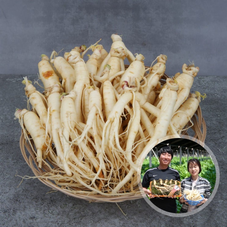  우리네농산물 금산부자인삼 세척삼 수삼 인삼, 1개, 600g(25-40편)