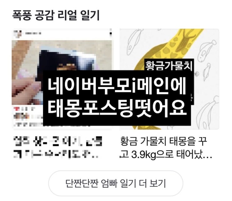  2020. 10. 28 네이버부모i 리얼 일기 코너에 태몽포스팅이 소개 되었어요