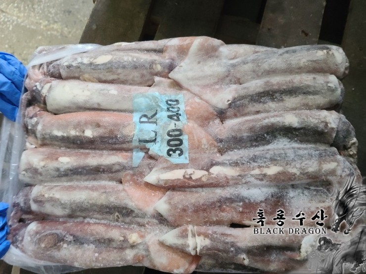  대만 선동 포크오징어 M, L, 2L (채낚기) _ Feat. 흑룡수산