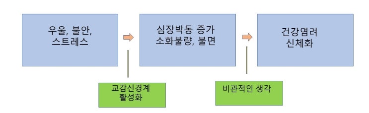  이유없이 아파요 - 신체증상 관련장애 (feat. 질병불안장애, 신체화 증상)