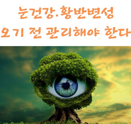 황반변성 자가진단법