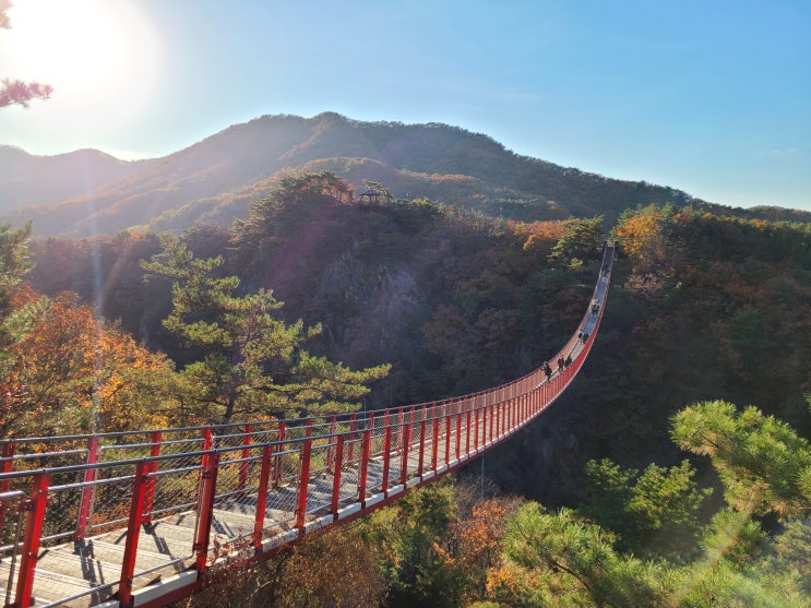  서울근교 단풍구경 당일치기 파주 감악산 출렁다리