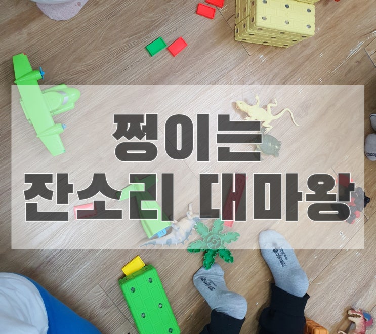  [2020.10.28 쩡이의 일상] 쩡이는 잔소리대마왕