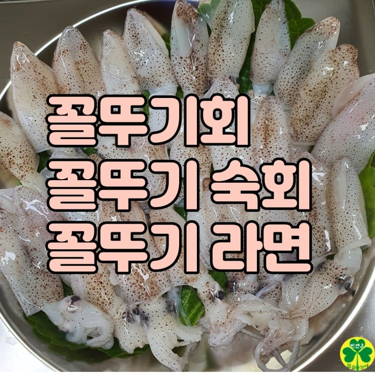  꼴뚜기회, 꼴뚜기 숙회 가성비 좋은 집에서 간단한 술안주