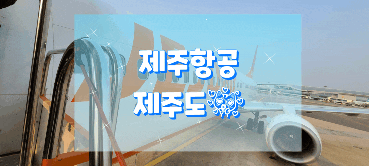  드디어 제주도! 애증의 여행! 드디어 김포에서 비행기를 탔어요!!!