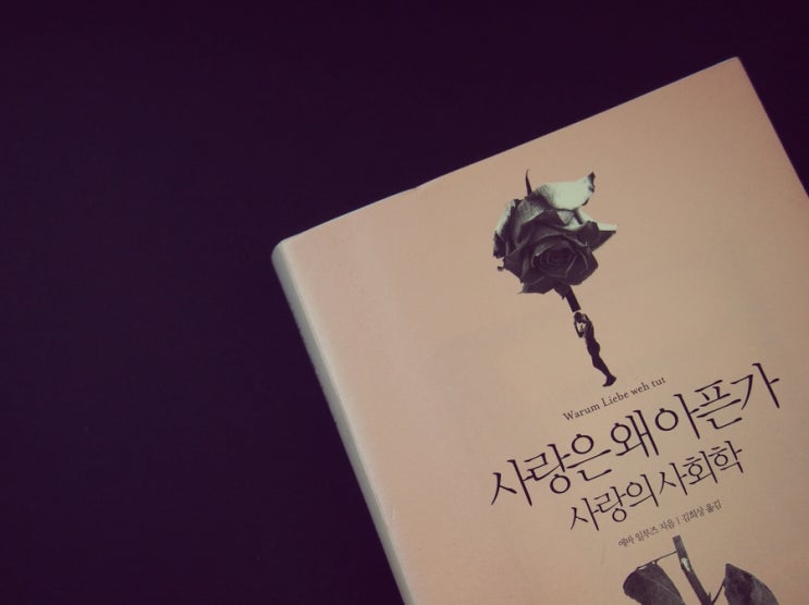  <사랑은 왜 아픈가> 두 번째 토론 정리, 2~3장 리뷰 모음 feat.매실독서단