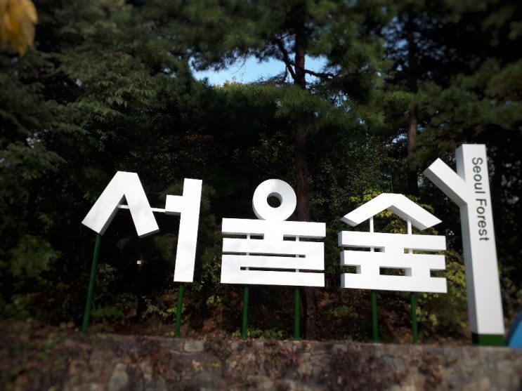 서울 가볼 만한 곳 - 서울숲 나들이