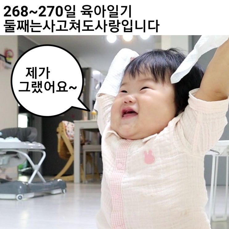  268~270일 8개월아기발달 대상영속성/둘째는 사고쳐도 사랑둥이