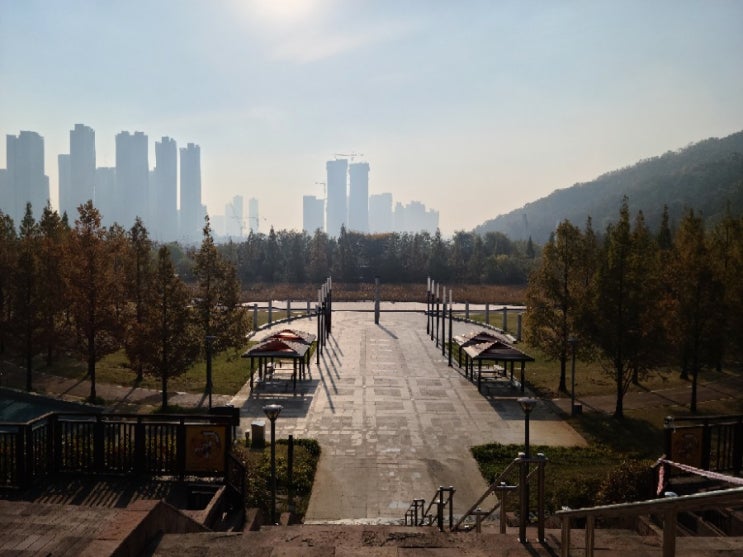  노작공원에서 만보 걷기 도전해 봤어요