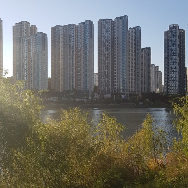 오르는 공시가 늘어난세금 세입자에 전가 전셋 값불안 오르는 공시가 늘어난세금 세입자에 전가 전셋 값불안