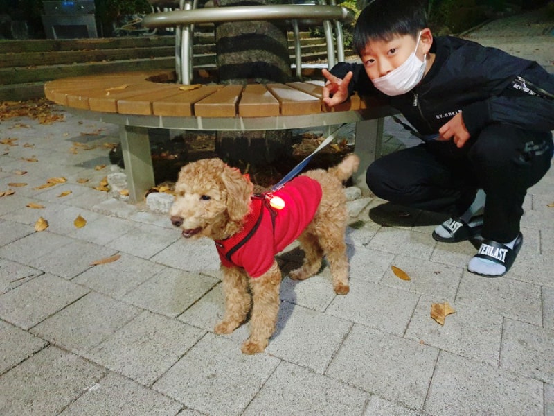 사진 5