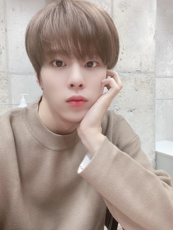 김우석네 따따 근황 김우석네 따따 근황